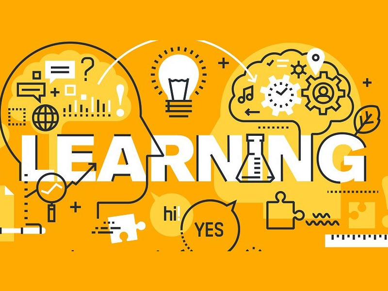 learning and development