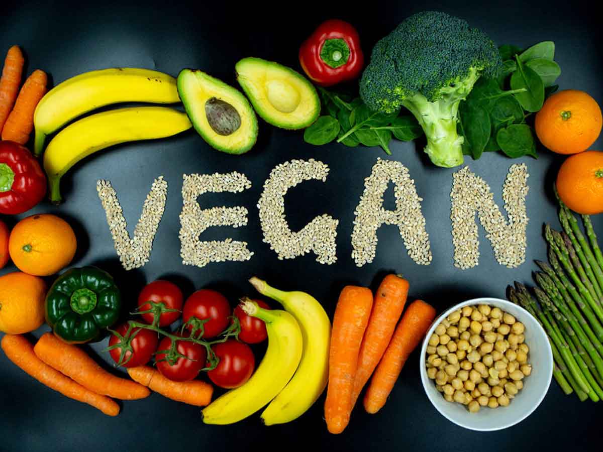 medical research vegan diet