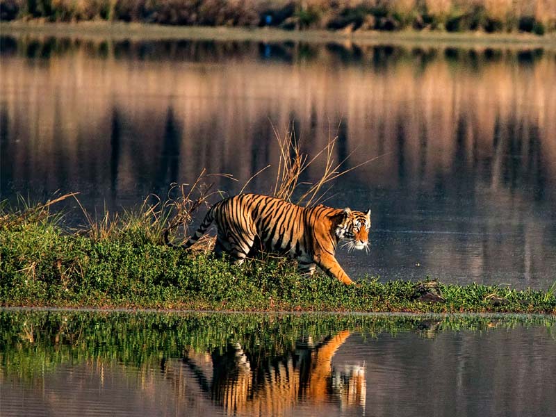 Sundarbans Travel Guide: 3 Places to Go, What to Do?