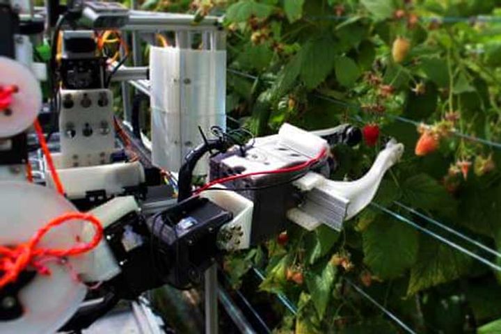 World's First Raspberry picking robot "Robocrop" all set to work ...