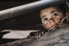 337 accused of running international child sexual abuse website arrested