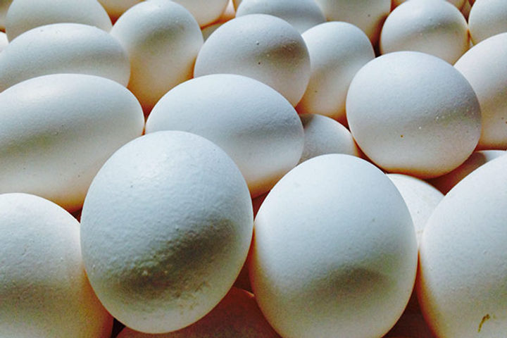 The condition of eating 50 eggs took the life of a person