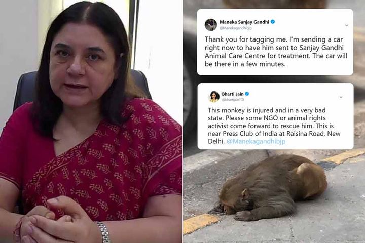 BJP MP Maneka Gandhi, who is known for her love for animals