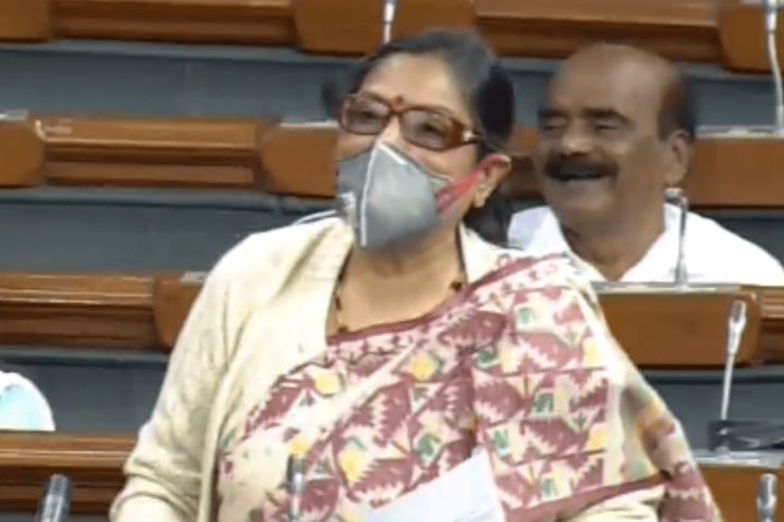 TMC MP arrives in Parliament wearing mask to protest against air pollution