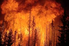 Conditions such as drought due to fire and heat in New South Wales