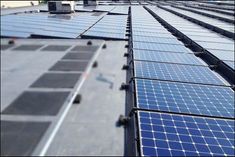 Lotus petal like solar panels will be cleaned with silicon substrate