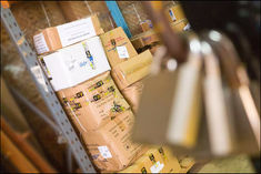 India  foreign trade policy to restrict companies like SheIn