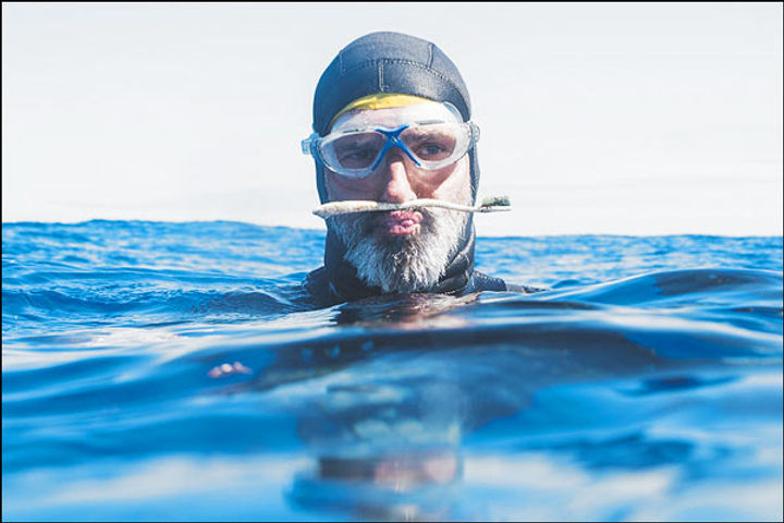  Lakomte swims in the Great Pacific Garbage Patch of the Pacific Ocean