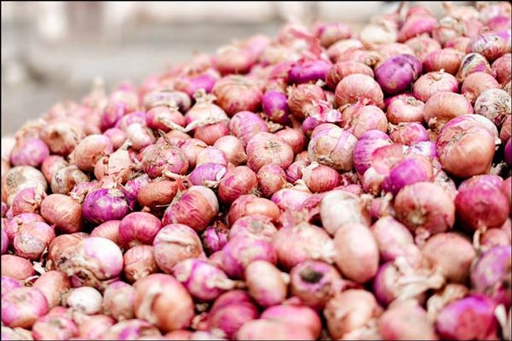 The price of onions rising day by day has disturbed every person