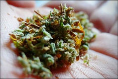 A man in Mumbai sets up a Ganja-lab at friends home