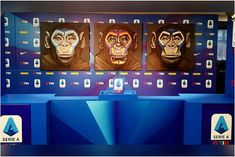 No To Racism posters feature 3 monkeys with painted faces