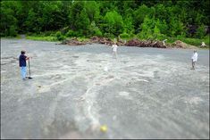 Scientists discovered world oldest fossil forest in Cairo