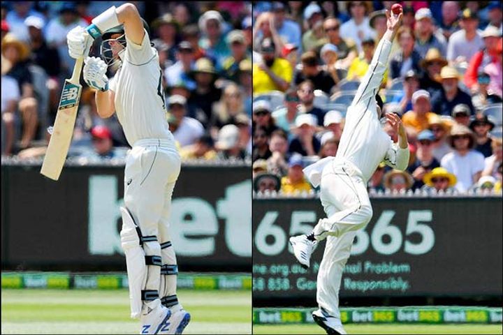 Henry Nicholls takes stunning catch to dismiss Steve Smith