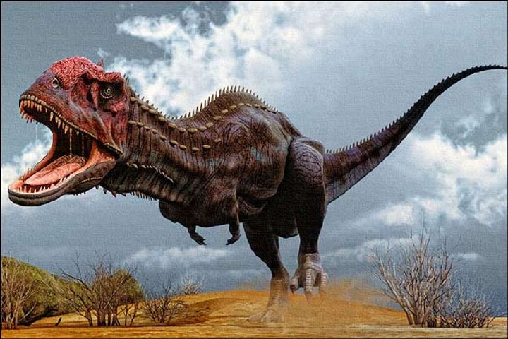 Majungasaurus Dinosaurs had new teeth every 2 months