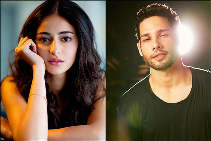 Siddhant Chaturvedi gave a befitting reply to Ananya Pandey on nepotism