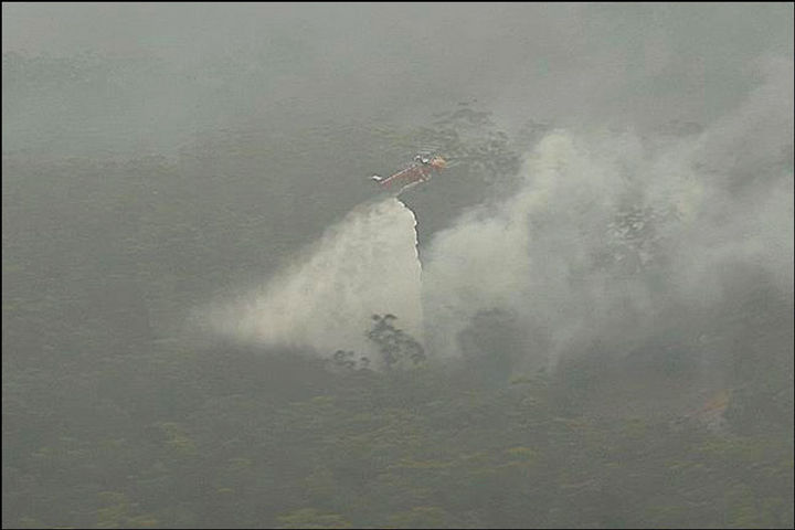 A third of Kangaroo Island has burned in Australia bush fires