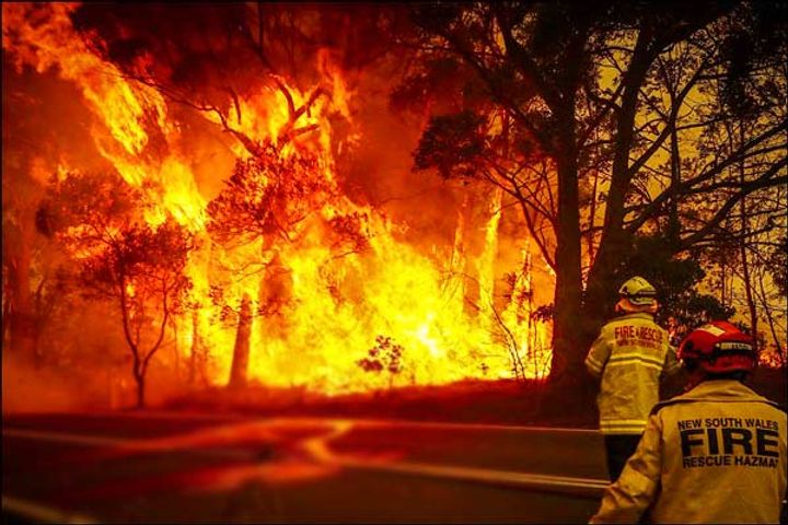 Australian bushfire has caused havoc damage to the Economy