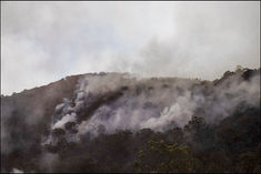  The huge economic cost of Australia's bushfires