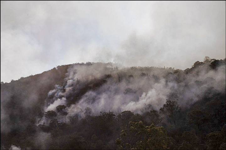  The huge economic cost of Australia's bushfires
