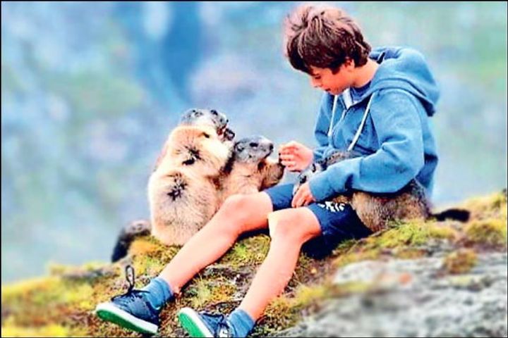 11 year old boy forges unique bond with shy marmots