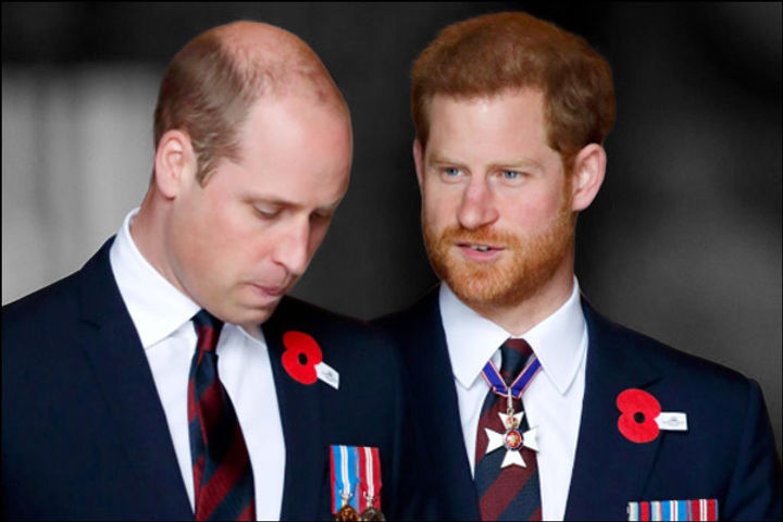 Prince William and Prince Harry Issue a Strongly Worded Joint Statement 