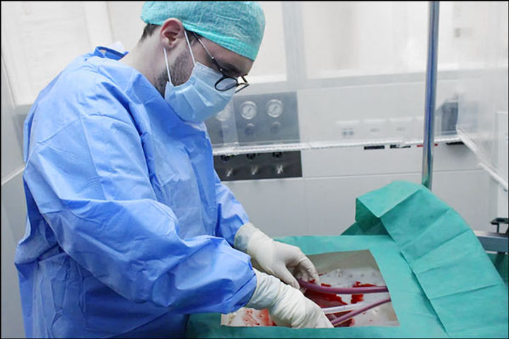Swiss machine keeps human livers alive for a week