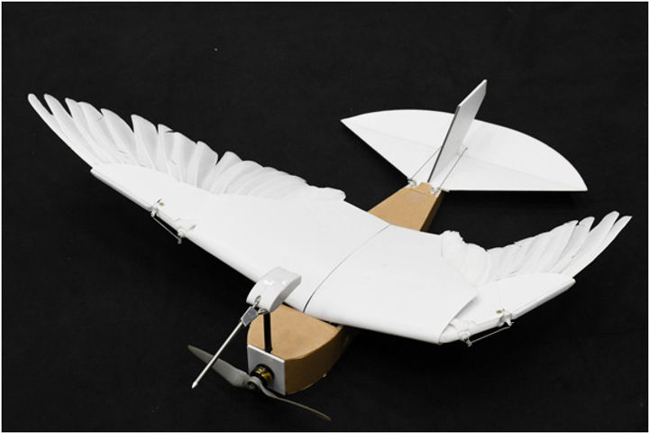 Scientists Built a Robot From 40 Pigeon Feathers and It Flies Beautifully