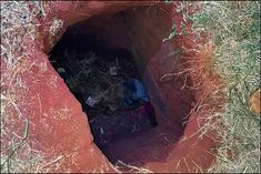 Paraguay investigates mass prison escape in Pedro Juan Caballero