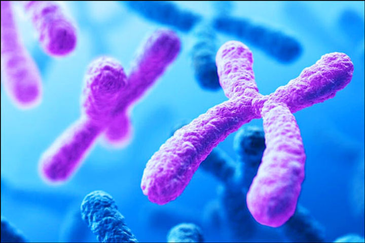 Increased Cancer Risk in Men due to Loss of Function of Y Chromosome