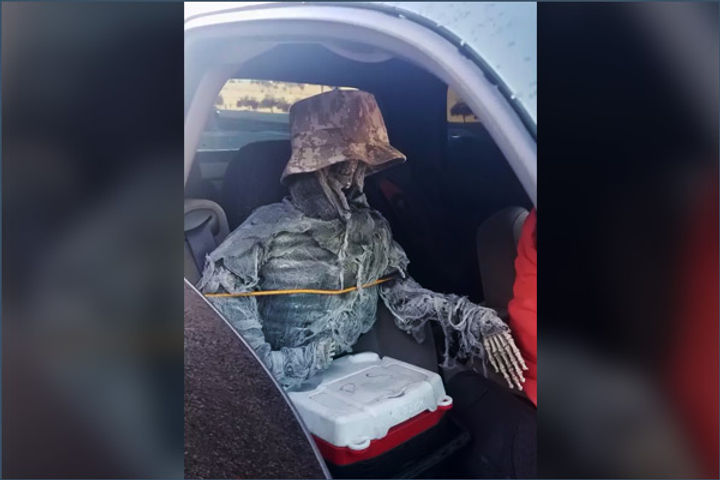 Arizona man dresses up skeleton to drive in HOV lane