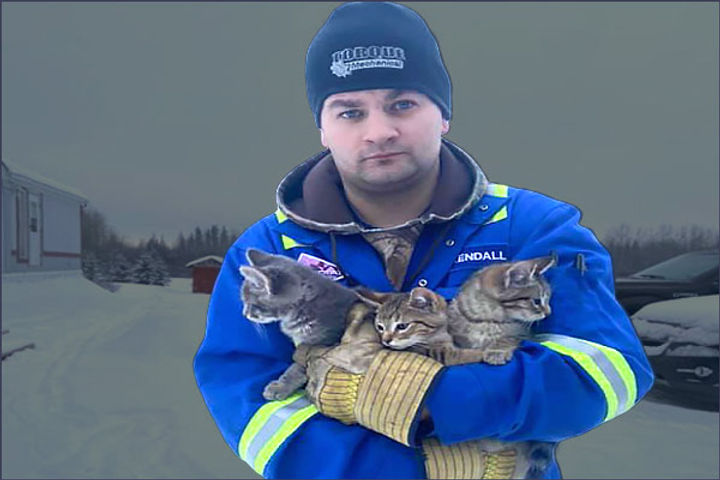 young man rescues kittens from hot coffee all three had their tail buried in snow overnight