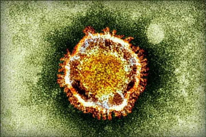Corona virus spread in 12 countries around the world
