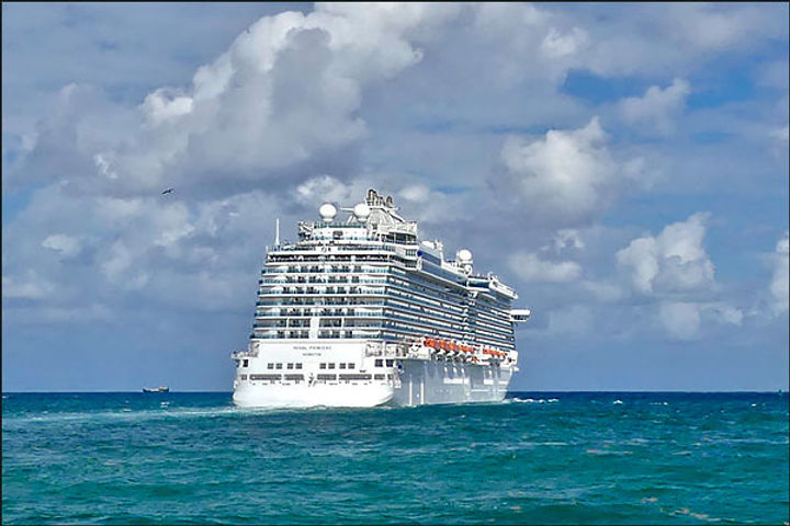 10 people out on cruise in Japan infected with coronavirus