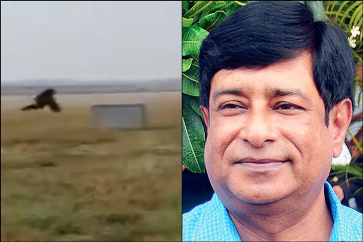 Ahmedabad airport finds an odd way of scaring langoors