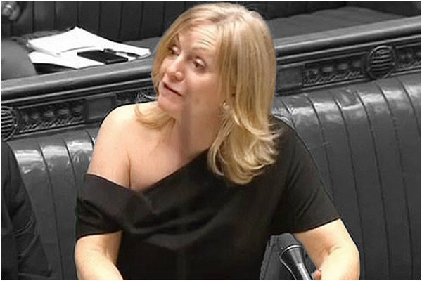 Labor MP Tracy Brabin dress auctioned for nearly 1,000 pounds for charity