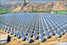 Rajasthan has world first solar plant that runs 24 hours