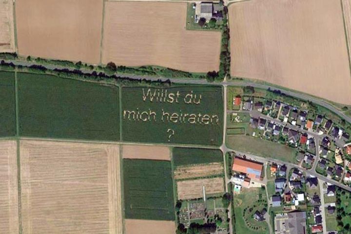 You You Want to Marry Me  written in a captive field on Google Map