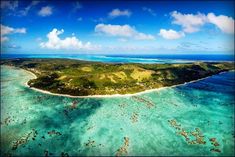 Climate change  rising sea temperature threatens survival of organisms