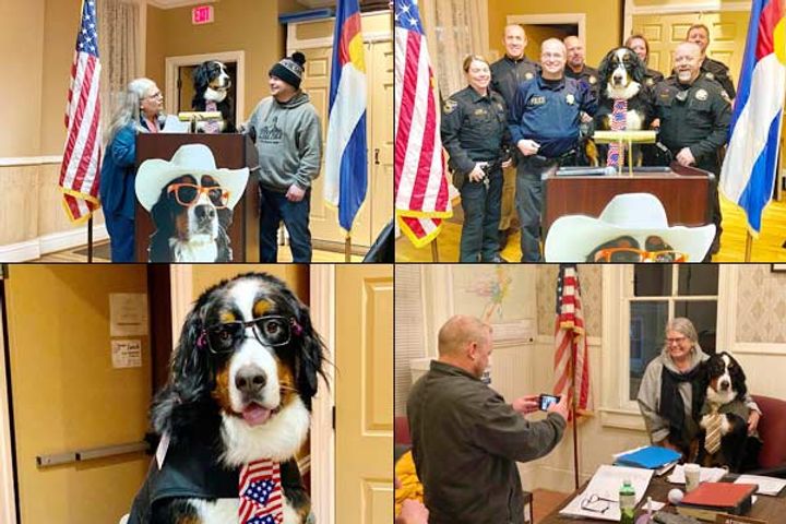 Parker named Dog mayor of Georgetown, sworn in coat-tie