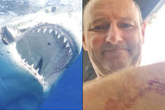 Surfer tells of terrifying shark attack in New Zealand