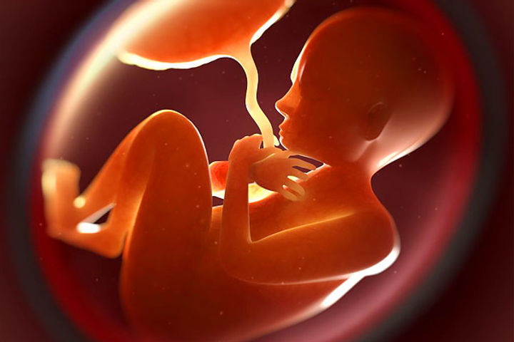 Man gets 3 years rigorous imprisonment for death of cousin unborn child  