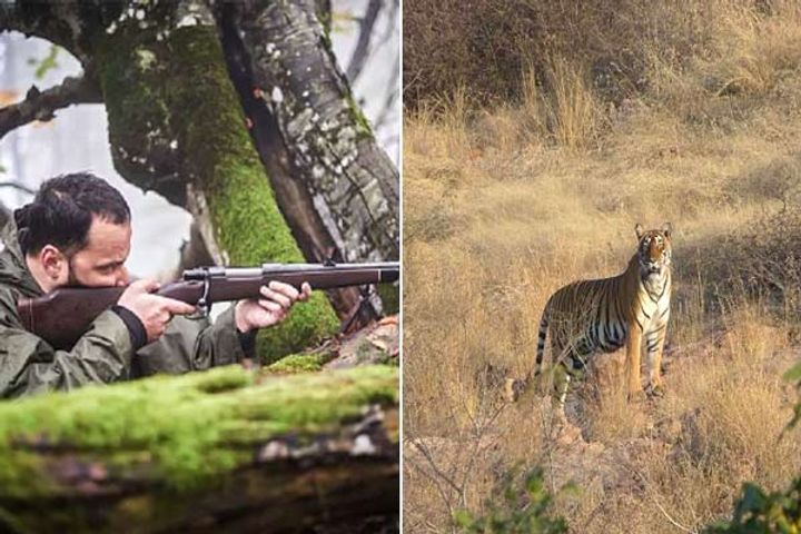 Order to shoot poachers in PTR to save tigers