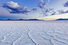 Here is the world  largest salt field