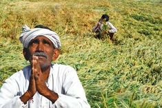 Maharashtra Budget Farmers loan up to 2 lakh waived 5 lakh youth employed
