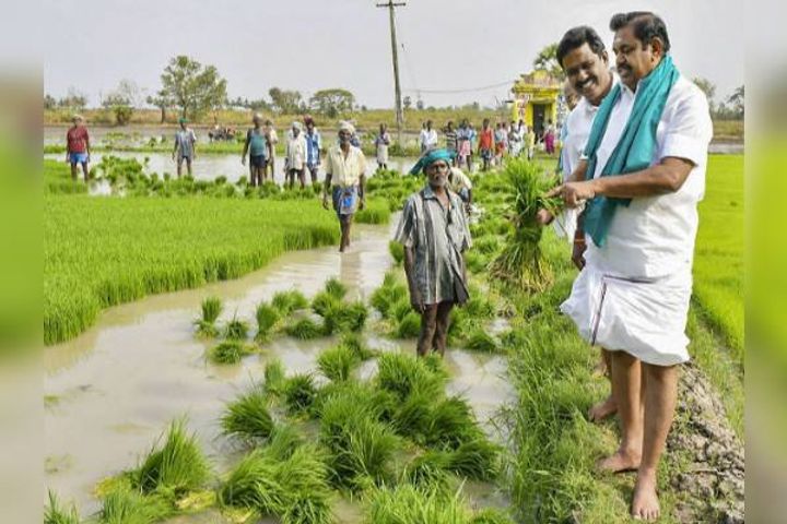 Palaniswami arrives to stop the convoy and paddy in the field Vice President shares the photo Palaniswami arrives to stop the convoy and paddy in the field Vice President shares the photo
