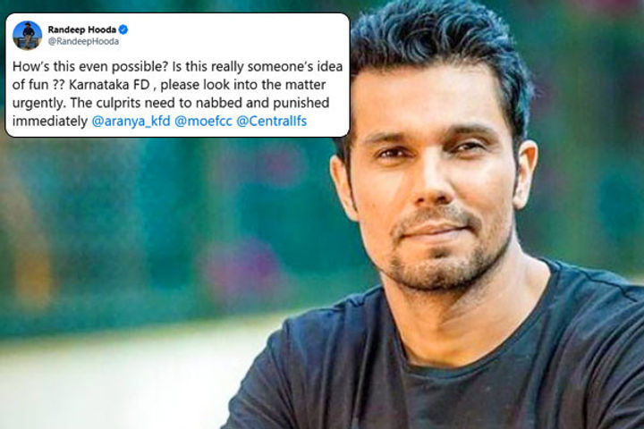 Randeep Hooda shares gutting video of people shooting at elephant in Karnataka Randeep Hooda shares gutting video of people shooting at elephant in Karnataka