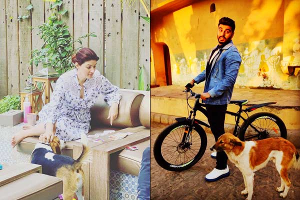 Arjun Kapoor and Twinkle Khanna appeal, corona does not spread with animals take care of them too