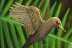 Smallest Dinosaur in the world found in a 99-million-year-old piece of amber