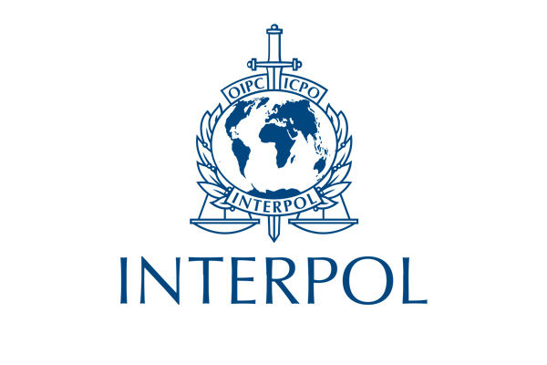  Syndicates using COVID-19 scare to make quick money  warns Interpol