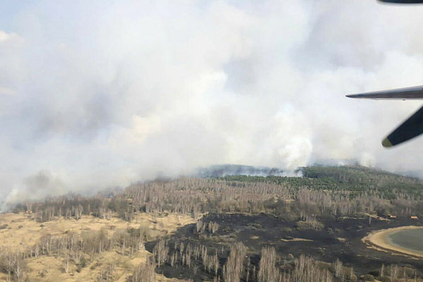 Forest fire near Chernobyl and radiation level increased by 16 times